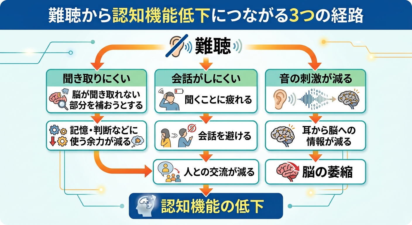 難聴から認知機能低下につながる3つの経路